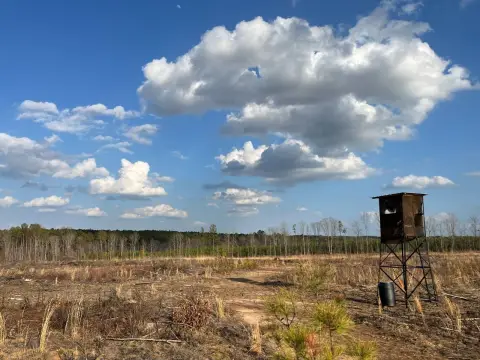 Vacant Land in Greenwood, SC