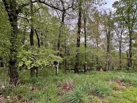 Wooded Lot in Flint Ridge Resort