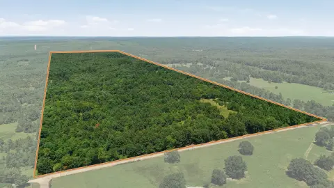 Heavily Wooded Hunting Land