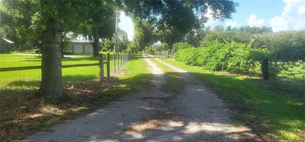 Picture 25