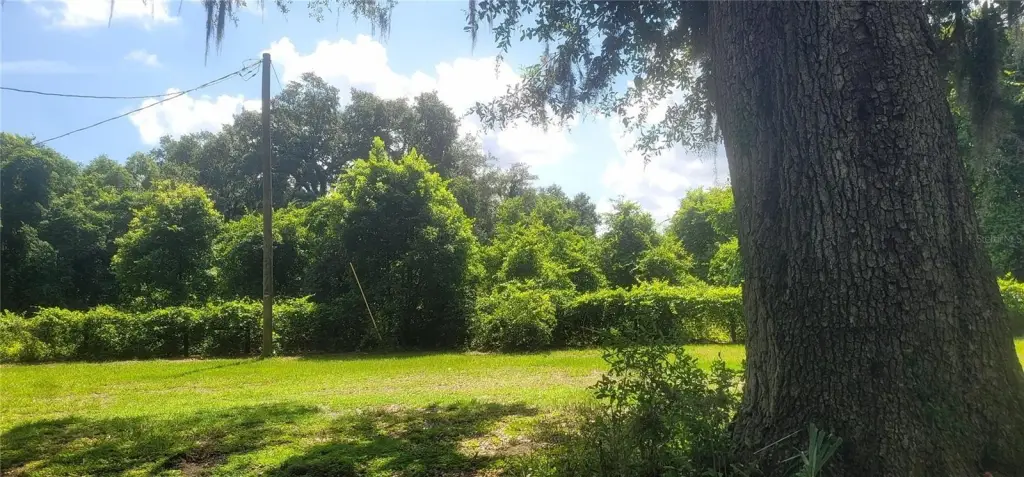 Picture 18