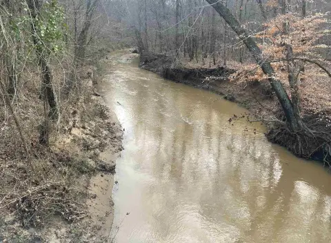 137 Acres in Western York