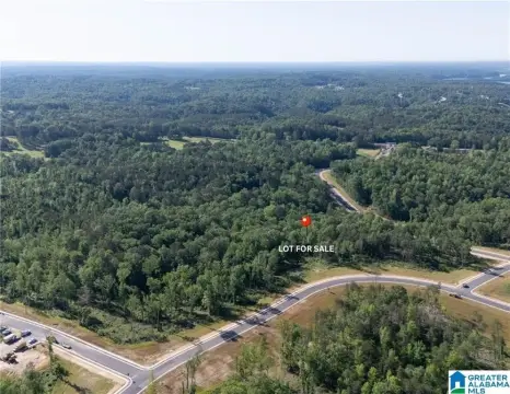 Picture of Land at Lake Island Rd 10, Tuscaloosa, AL