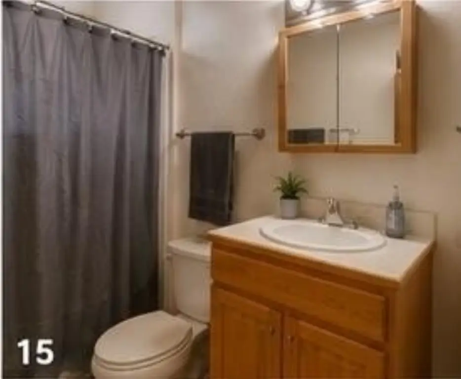 Picture 11