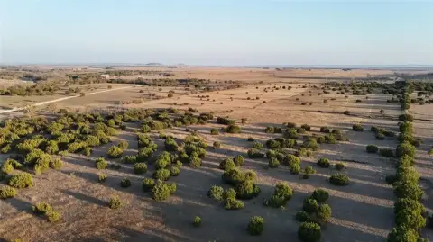 Unimproved Land Near Iredell, Texas