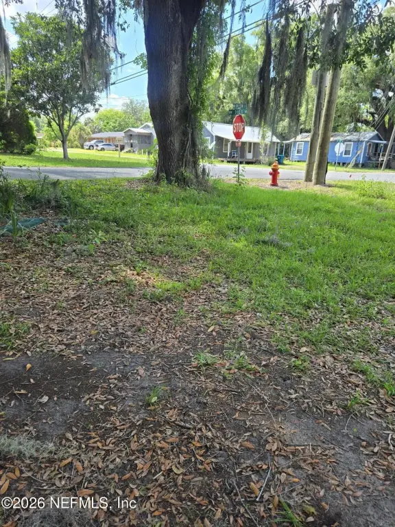 Picture 4