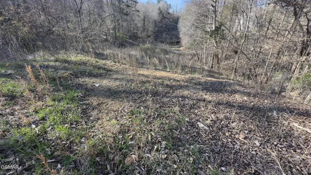 Picture 21
