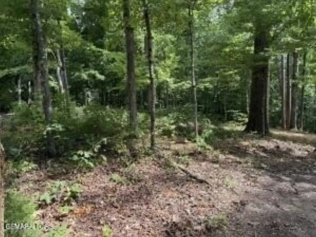 Picture 34