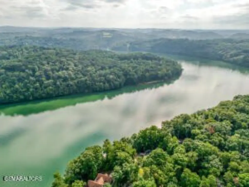 Picture 31