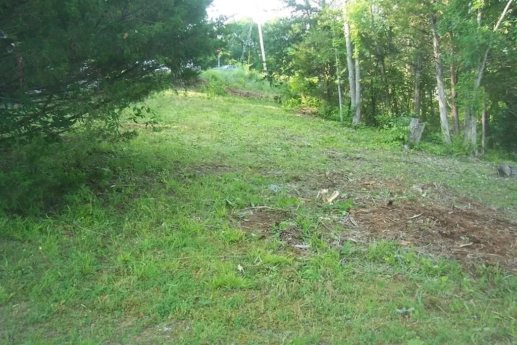 Picture 5