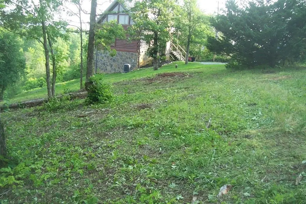Picture 3