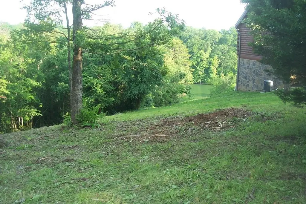 Picture 8