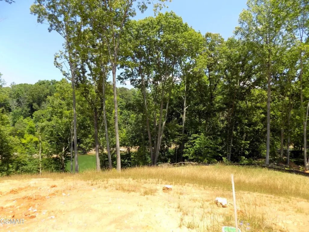 Picture 8