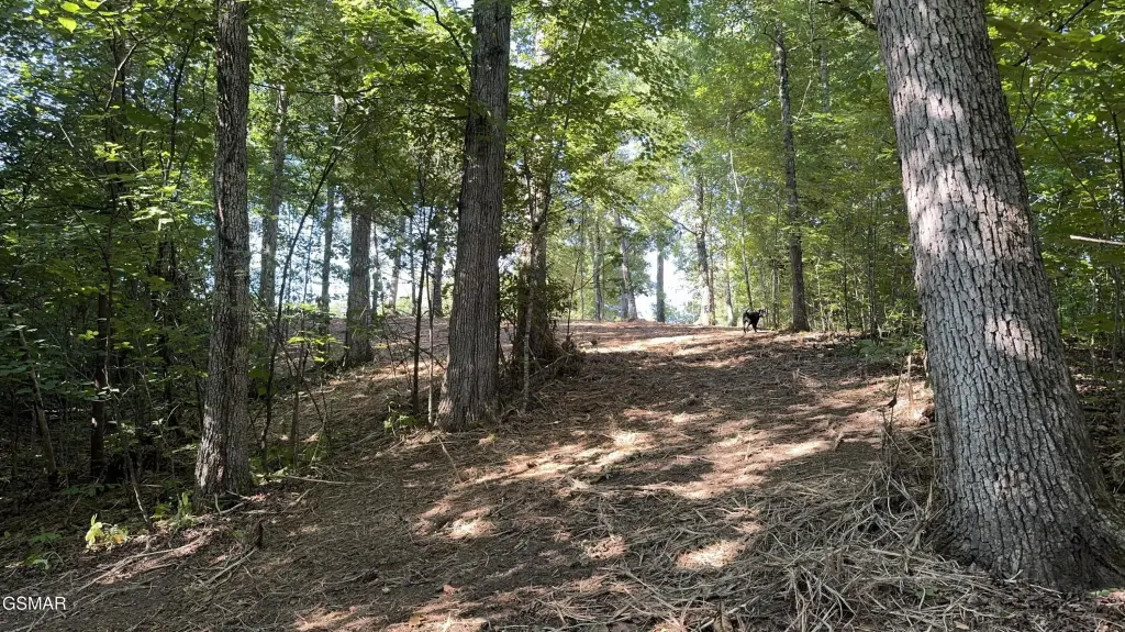 Picture 14