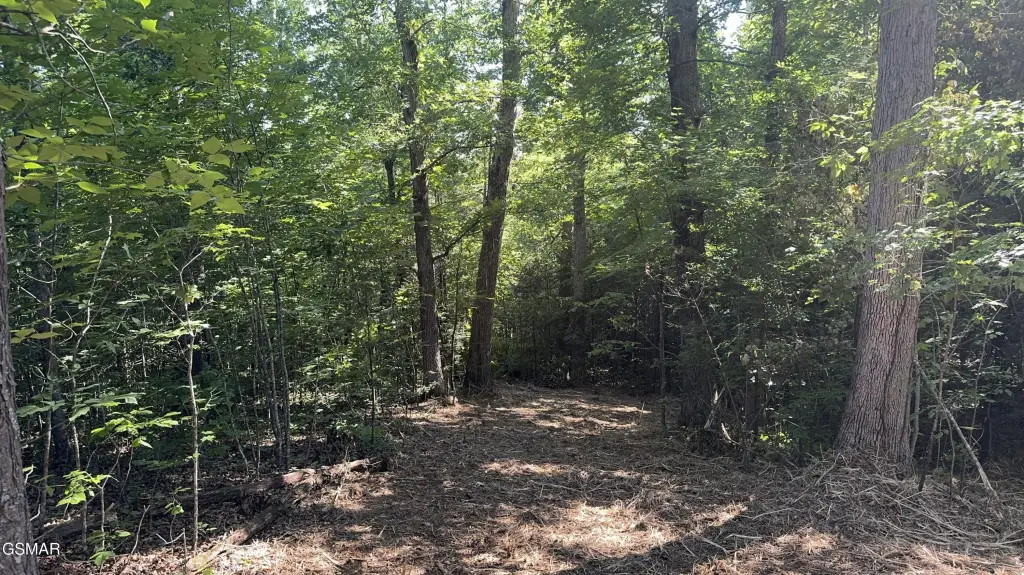 Picture 16