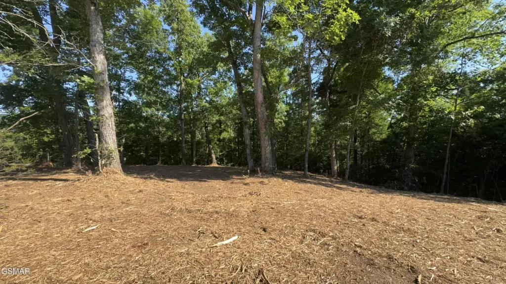 Picture 24