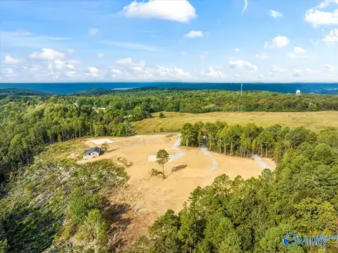 Lakeview Acreage in Guntersville, AL