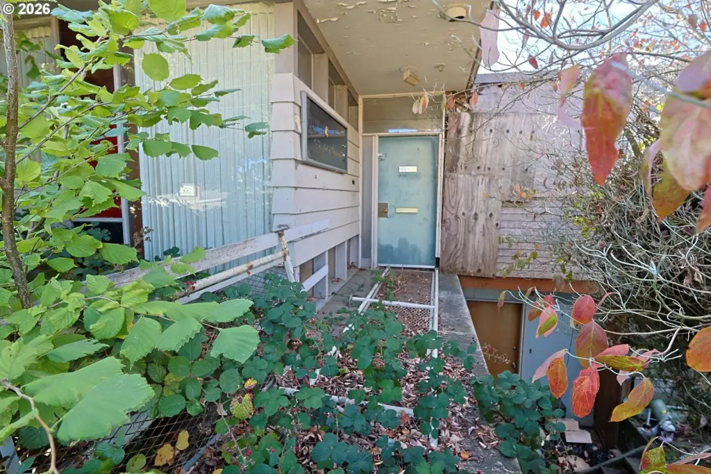Picture 16