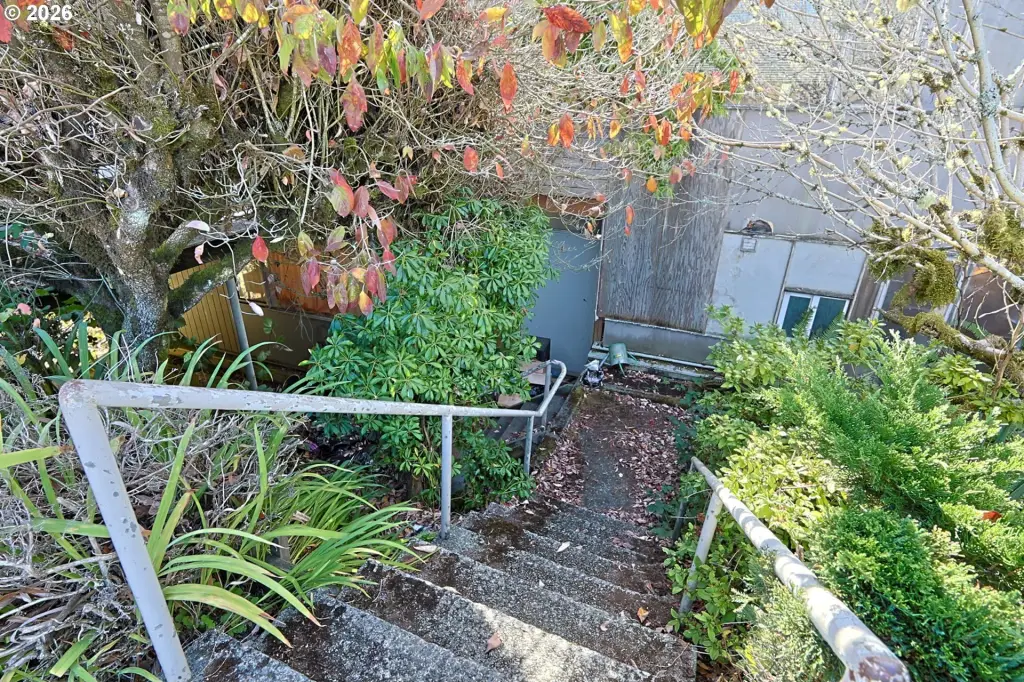 Picture 9
