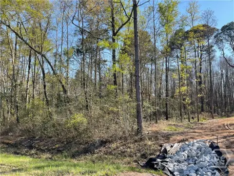 Acreage in Springfield, Georgia