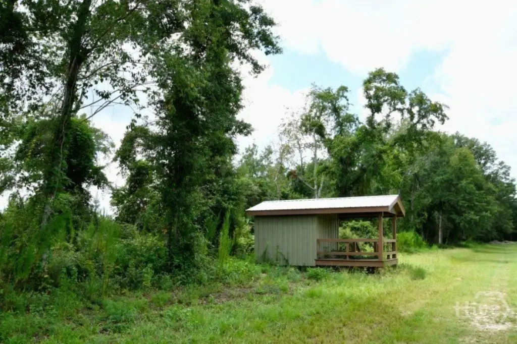 Picture 43