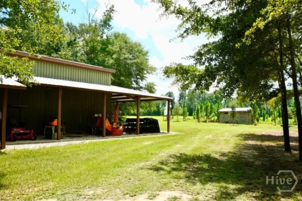 Picture 5