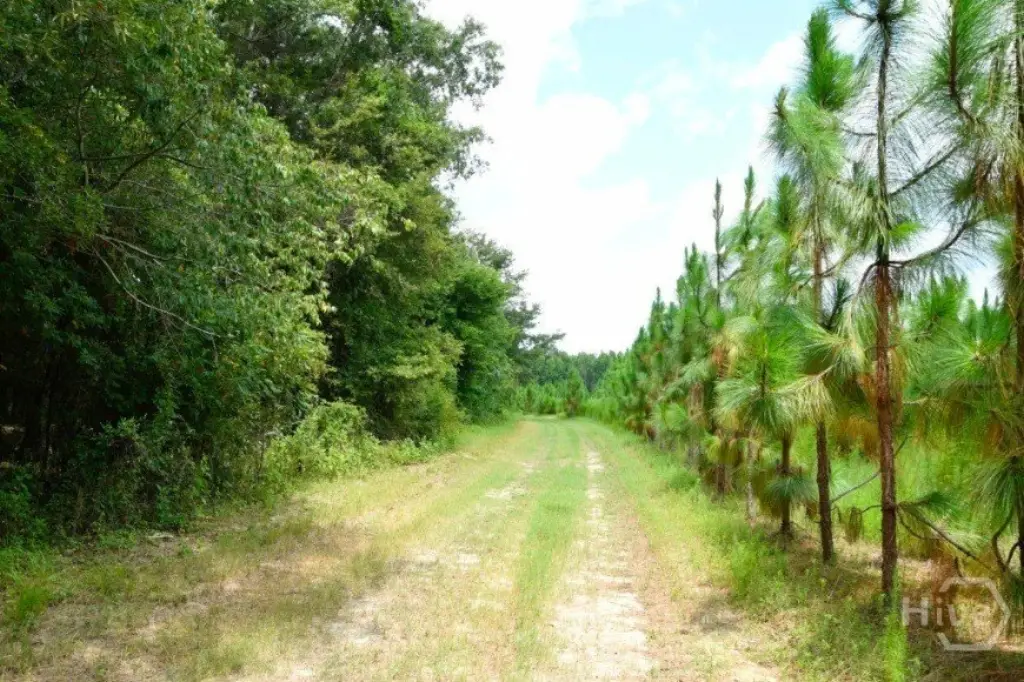 Picture 38