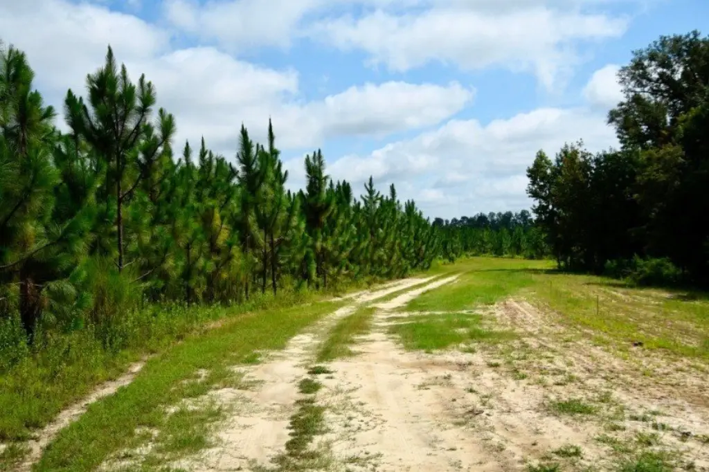 Picture 40