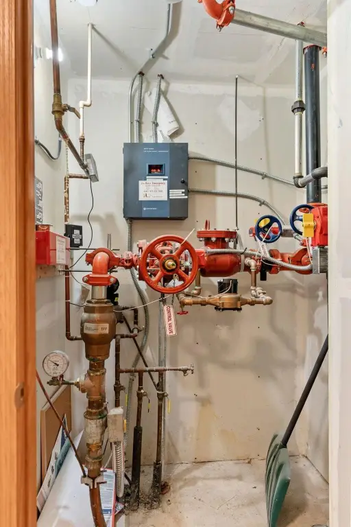 Picture 28
