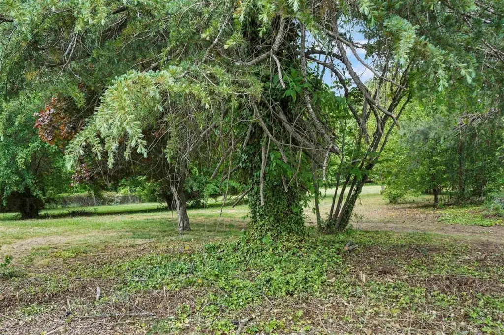 Picture 27
