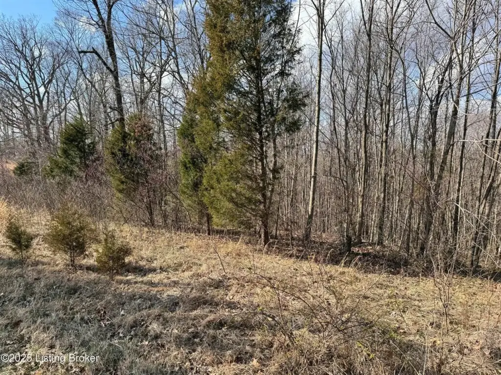 Picture 4