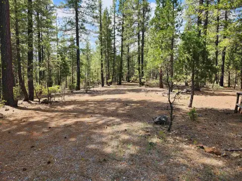 Greenville Land Parcel with Views