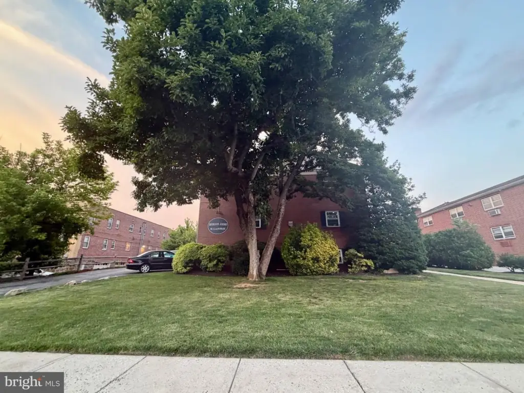 Picture 23
