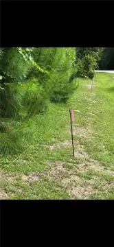 Undeveloped Land Near Airport