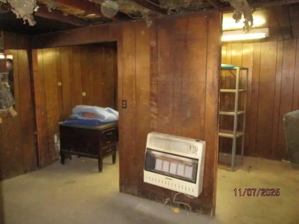 Picture 5