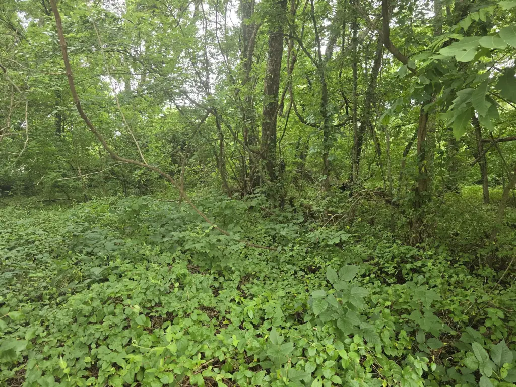 Picture 2