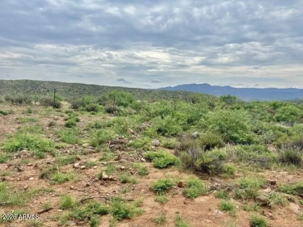 Picture 17