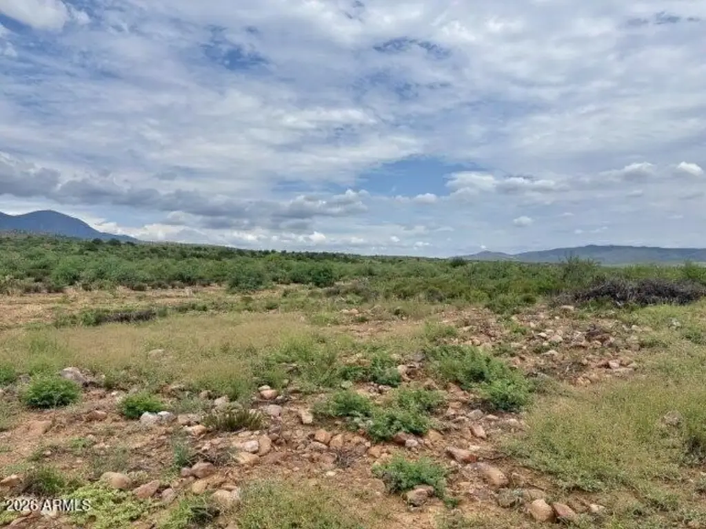 Picture 18
