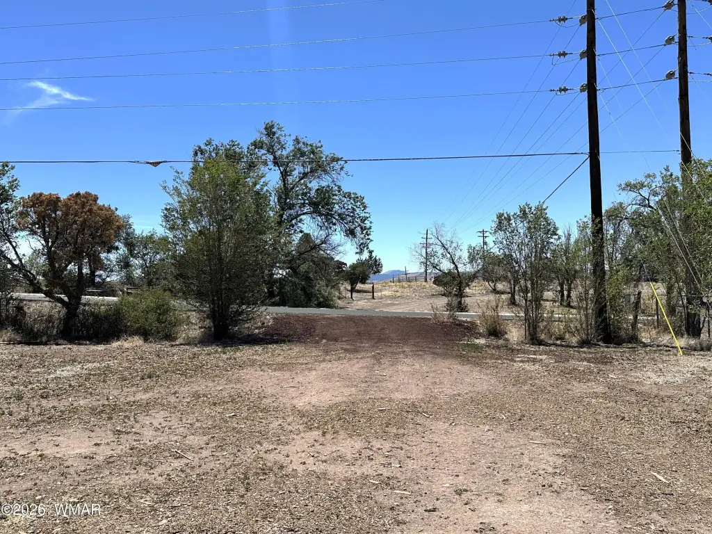 Picture 15