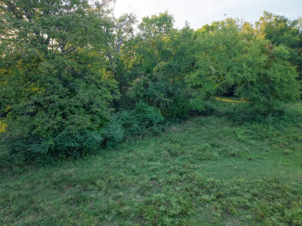 Picture 19