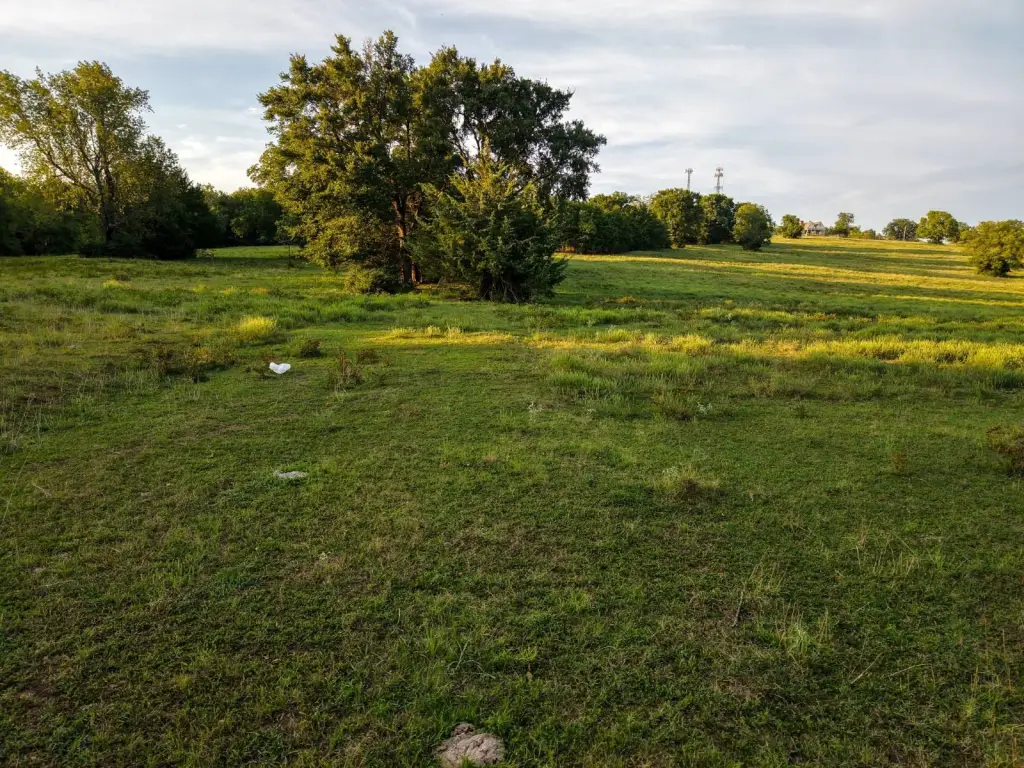 Picture 21