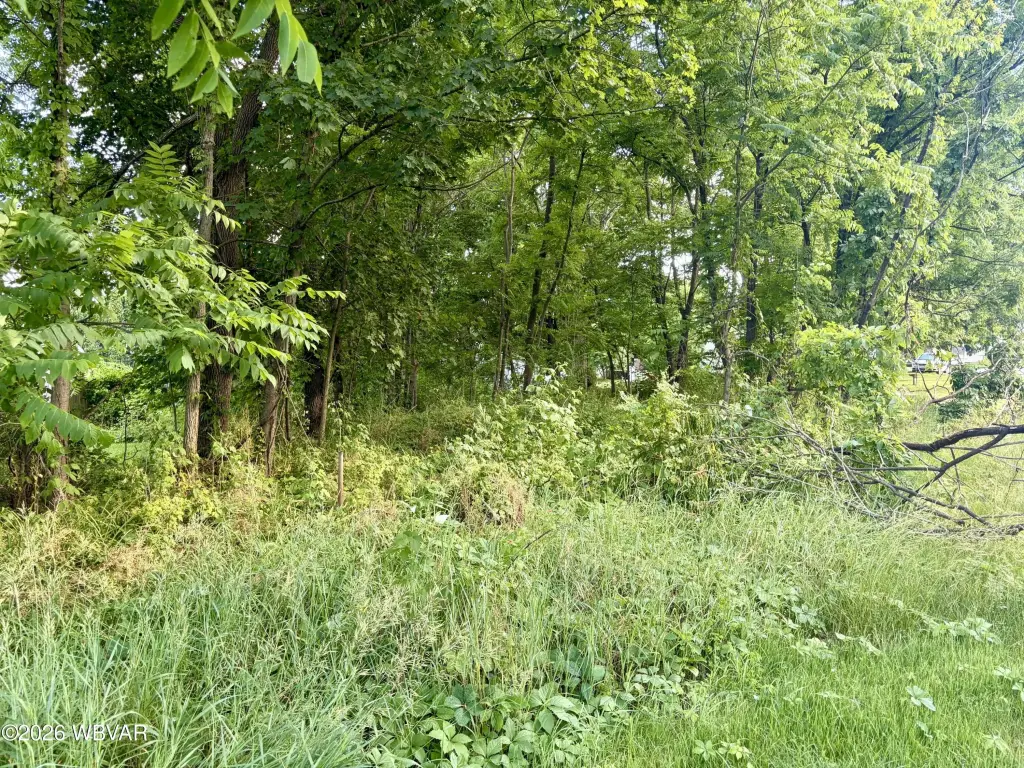 Picture 6