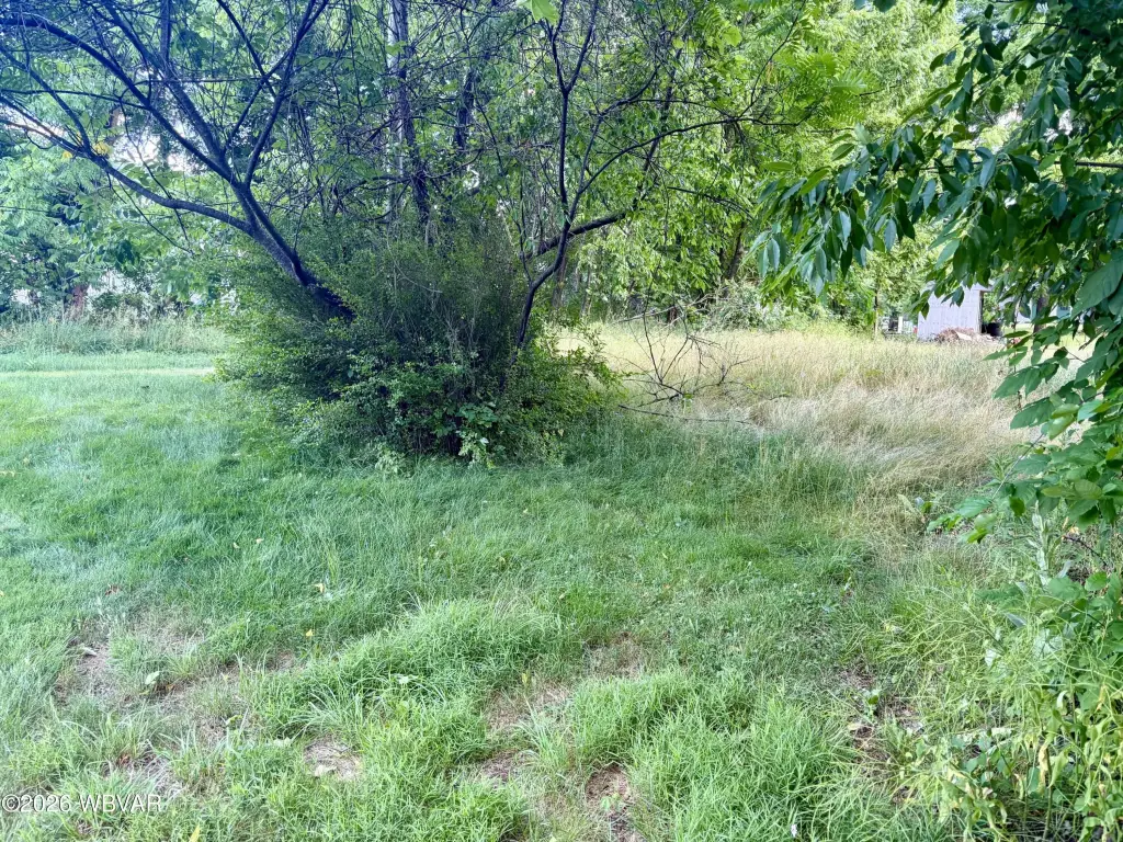 Picture 10