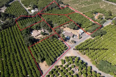 Valley Center Land with Orange Grove