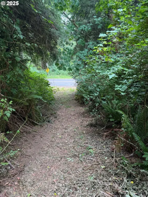 Picture 5