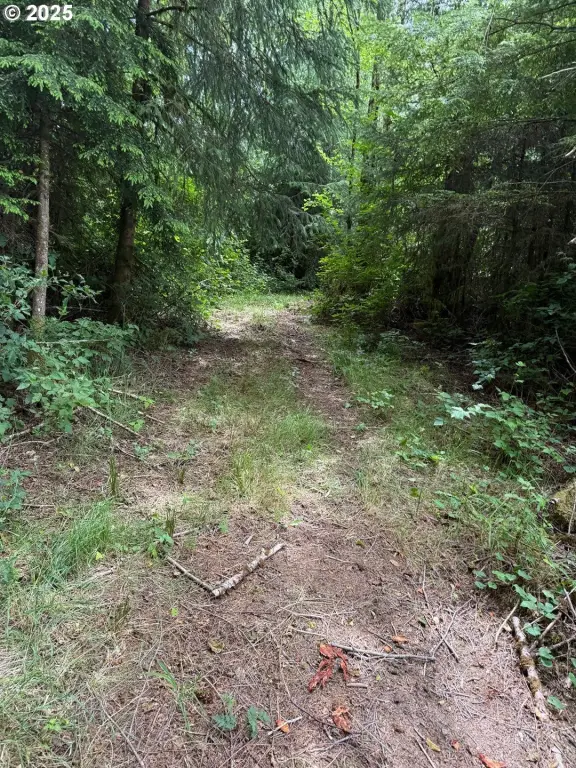 Picture 4