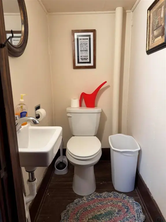 Picture 17