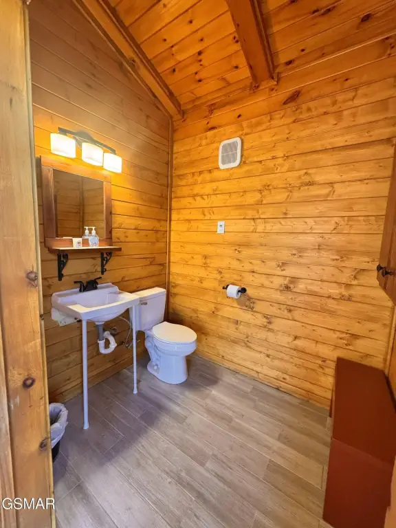 Picture 11
