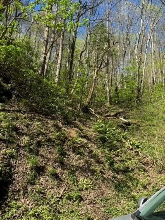 Picture 23