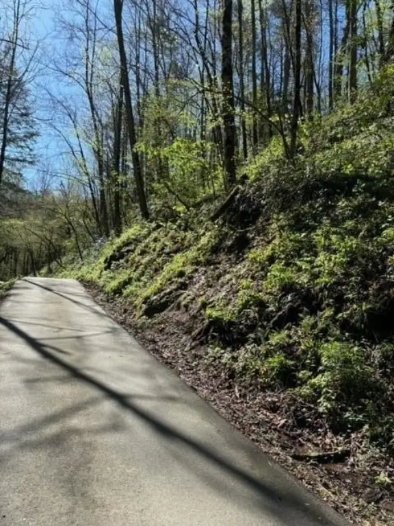 Picture 25
